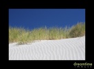 Nz13