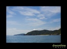 Nz15