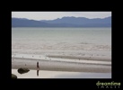 Nz6