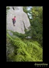 Nz8