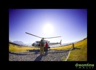 Nz31