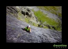 Nz36