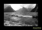 Nz43