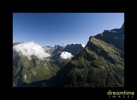 Nz49