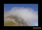 Nz50