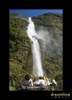 Nz51