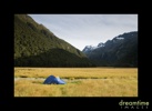 Nz56