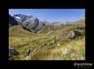 Nz57