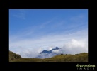 Nz58