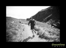 Nz59