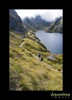 Nz60