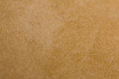 Elitia-2