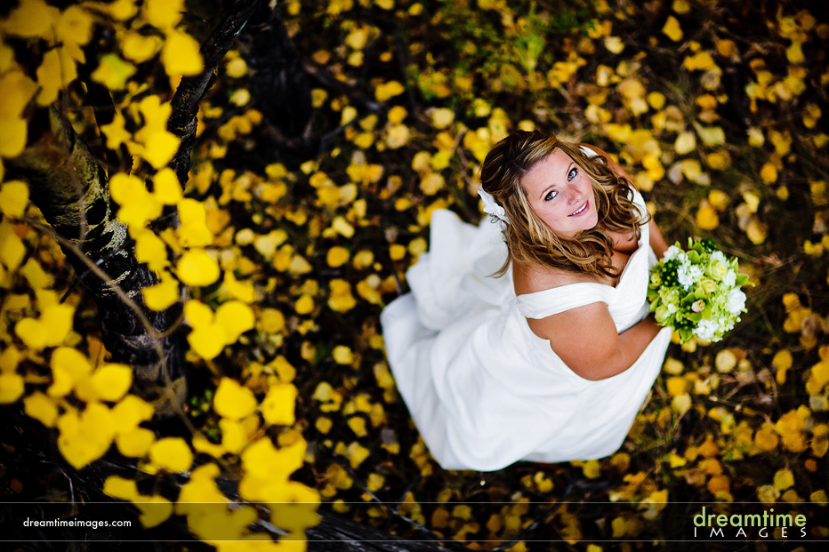 mountain wedding portrait