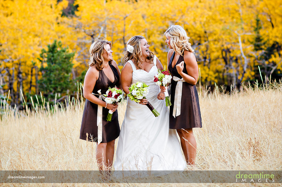 bride and her maids in aspen trees