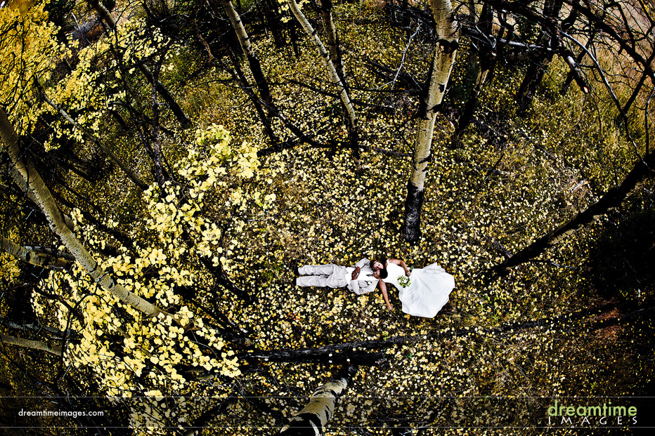 bride and groom portrait in aspen grove