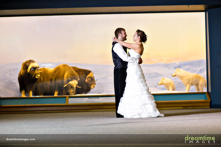 denver museum wedding