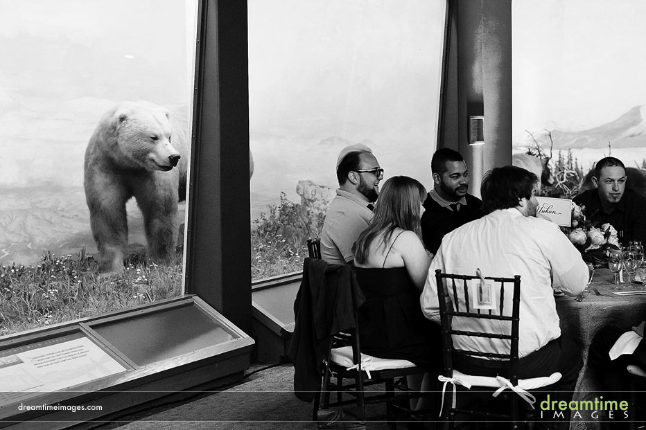 denver museum wedding