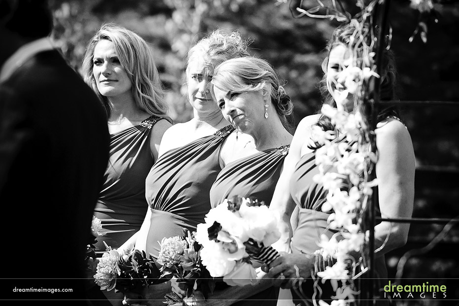 bridesmaids watch vail wedding