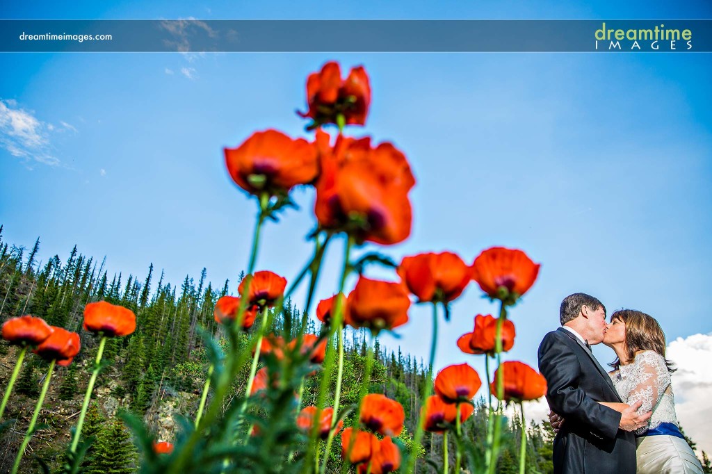 Wedding couple on the side of a creek in Breckenridge, Colorado